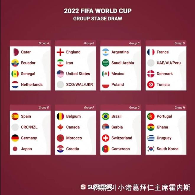 他们的表现